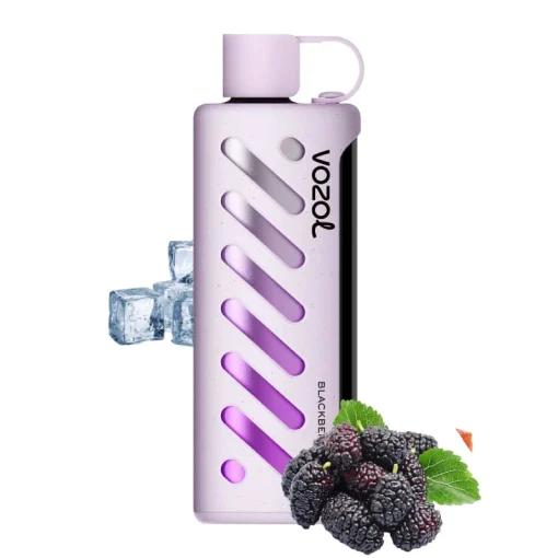 Vozol Gear Shisha 25000 Mustikka Ice