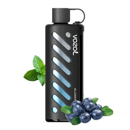 Vozol Gear Shisha 25000 Mustikka Minttu