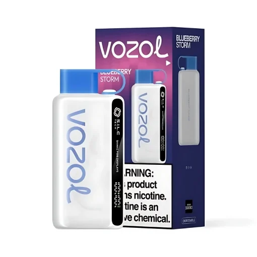 Vozol Star 12000 Blueberry Storm
