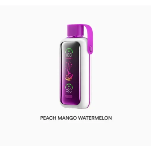 Vozol Star 20000 Persika Mango Vattenmelon