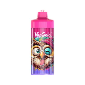 Vapsolo King Pro 40000 Love 66