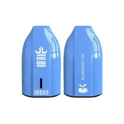 Bang King Porsche 12000 Blueberry Ice