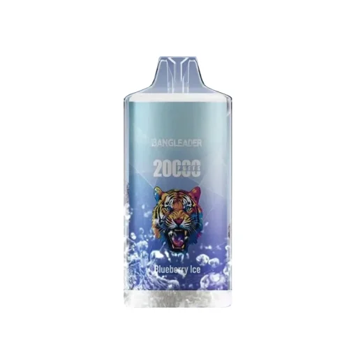 Bang Leader 20000 Blueberry Ice