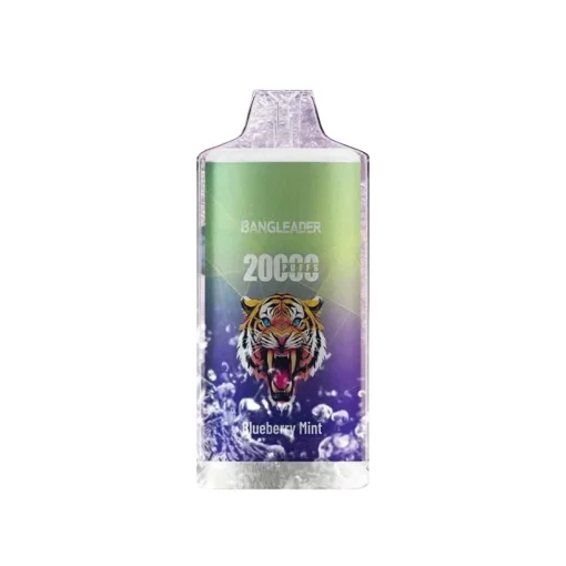 Bang Leader 20000 Blueberry Mint