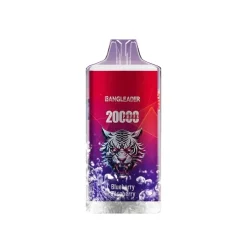 Bang Leader 20000 Blueberry Raspberry