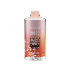Bang Leader 20000 Mango Peach