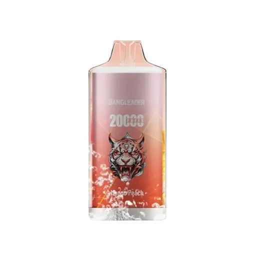 Bang Leader 20000 Mango Peach