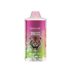 Bang Leader 20000 Strawberry Kiwi