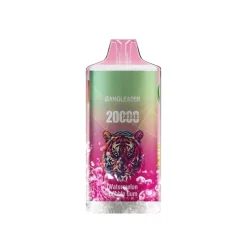 Bang Leader 20000 Watermelon Bubble Gum