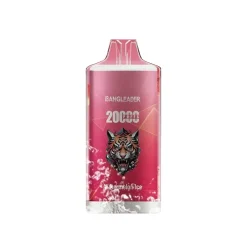 Bang Leader 20000 Watermelon Ice