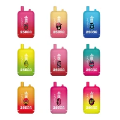 Neun farbenfrohe Bang King Einweg-Vapes, jedes mit einzigartigem Totenkopfdesign, beschriftet mit "extra fuel" und "25000 Puffs"."