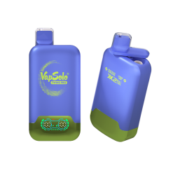 Vapsolo Twins Pro 50000 Puffs Wegwerp Vape Groothandel 28 Vapsolo Twins Pro 50000 vape met Blue Razz Lemonade en Lemon Lime smaken met dual tank design.