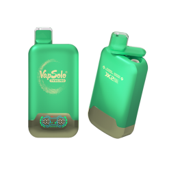 Vapsolo Twins Pro 50000 Puffs Wegwerp Vape Groothandel 27 Groene tweekamer VapSolo Twins Pro 50000 e-sigaret met branding, met smaakopties als Blueberry, Blackcurrant en Grapefruit Refresher.
