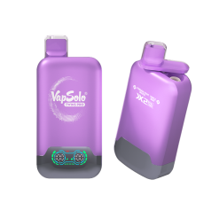 Vapsolo Twins Pro 50000 Puffs Wegwerp Vape Groothandel 42 Paarse Vapsolo Twins Pro 50000 e-sigaret met Passion Fruit Mojito en Triple Mint smaakopties met X2 Dual Tank technologie.