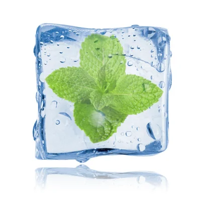 What Are the Most Popular Disposable Vape Flavors in 2026? 7 A vibrant green mint leaf encased in a clear ice cube, symbolizing freshness and coolness.